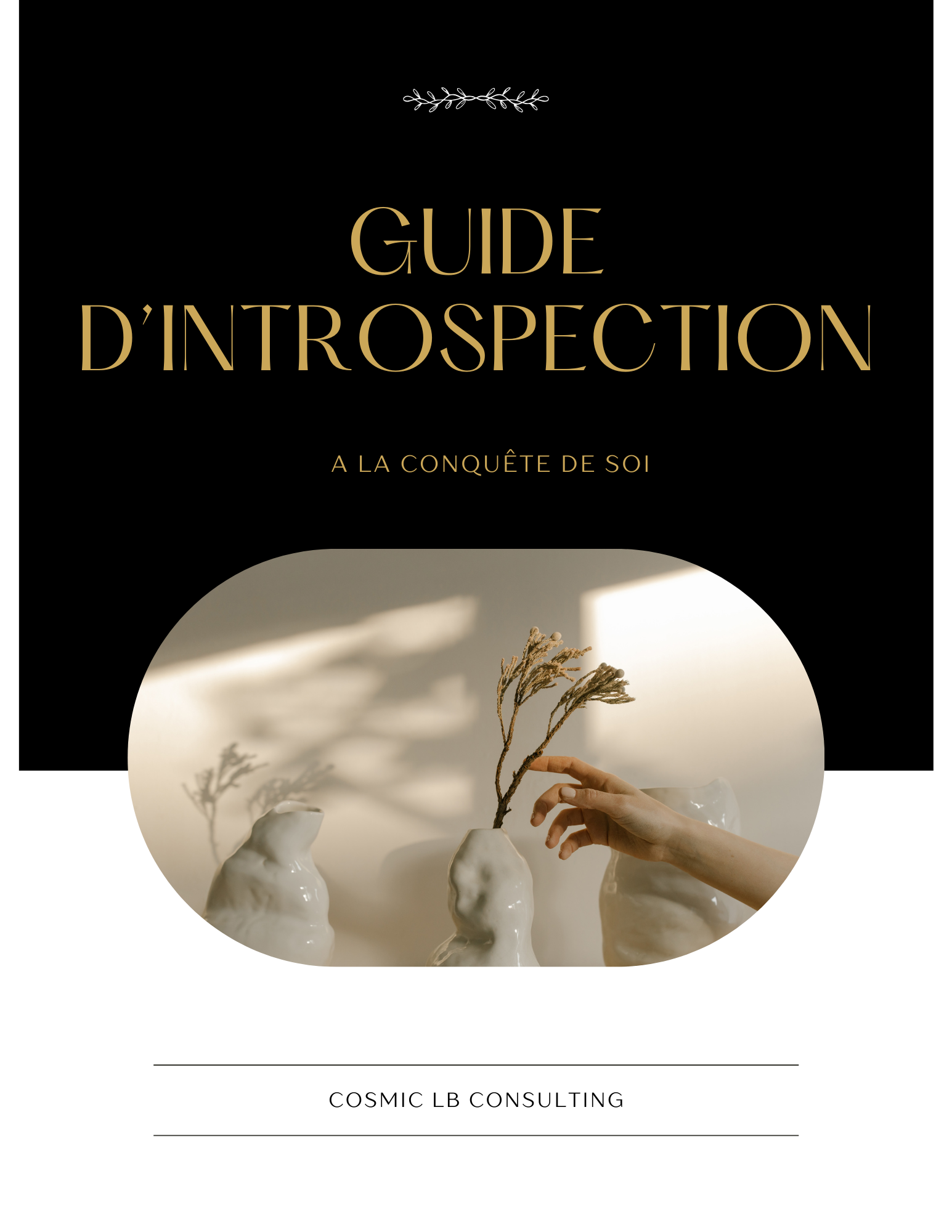 Guide A la conquête de soi